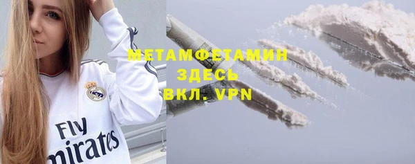 индика Аркадак