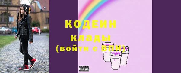индика Аркадак