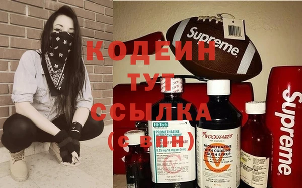 индика Аркадак