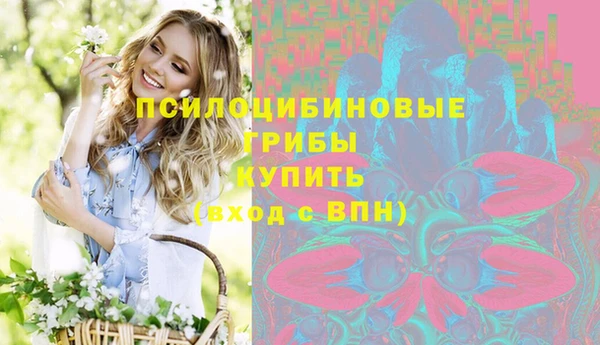 индика Аркадак
