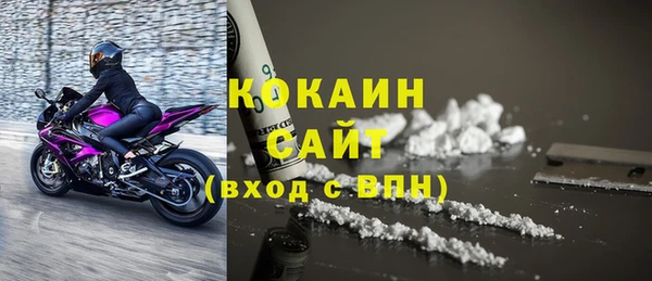 индика Аркадак