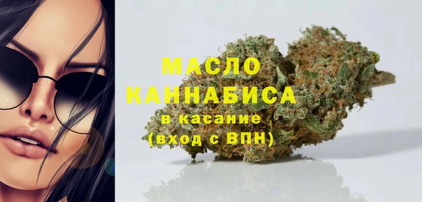 индика Аркадак