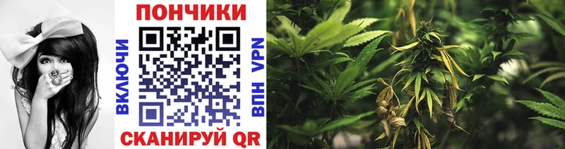 где купить   Партизанск  Бошки марихуана Amnesia 